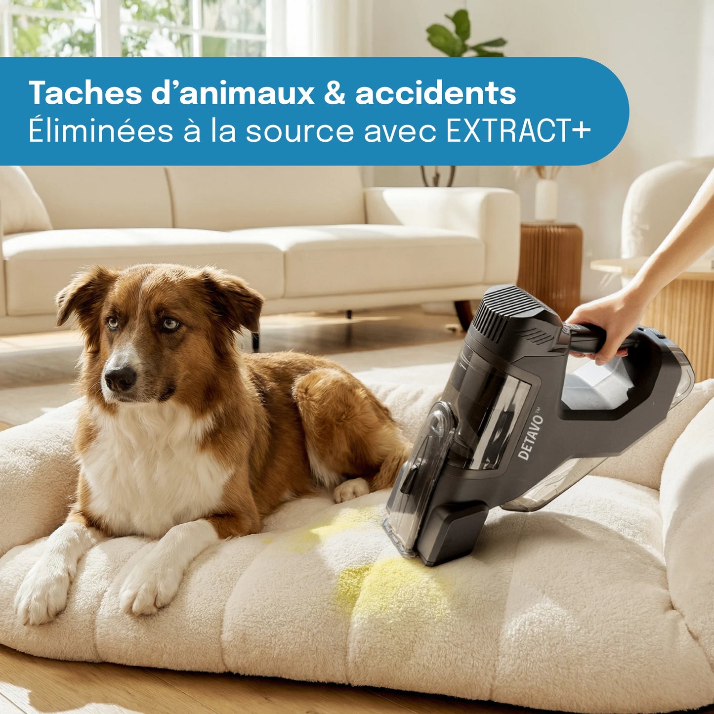 DETAVO™ Détachant EXTRACT+